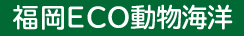 福岡E C O 動物海洋専門学校